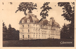 41-CHEVERNY-N°4193-G/0345 - Cheverny