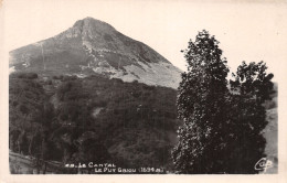 15-LE PUY GRIOU-N°4193-G/0103 - Autres & Non Classés