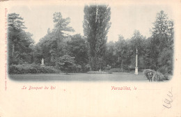 78-VERSAILLES LE BOSQUET DU ROI-N°5142-A/0283 - Versailles (Château)