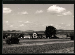 AK Horn Am Bodensee, Ortsansicht Mit Umgebung  - Sonstige & Ohne Zuordnung