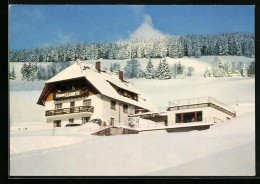 AK Todtnauberg /Schwarzw., Pension Elisabeth Fam. Fricker Im Winter  - Todtnau