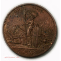 Médaille Italie Retour De Victorio Emanuel à TURIN, XX NOV 1815 -lartdesgents - Professionnels / De Société