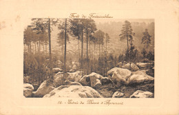 77-FONTAINEBLEAU-N°4194-C/0165 - Fontainebleau