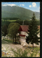 AK Bayer. Eisenstein, Gasthaus-Pension Neuwaldhaus  - Andere & Zonder Classificatie