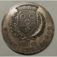Médaille Argent VILLE DE CHALON SUR SAONE 155grs Par A.DE G.SCULP. - Professionali / Di Società