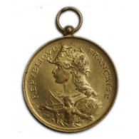 Médaille Bronze Doré - Tir De France Algérie Et Colonies Superbe - Professionals/Firms