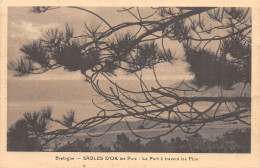 22-SABLES D OR LES PINS-N°5142-G/0217 - Otros & Sin Clasificación