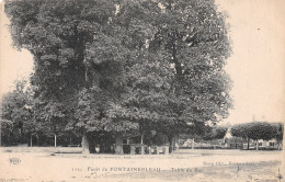 77-FONTAINEBLEAU LA FORET-N°5142-F/0265 - Fontainebleau