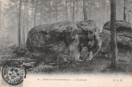 77-FONTAINEBLEAU LA FORET-N°5142-F/0225 - Fontainebleau