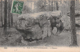 77-FONTAINEBLEAU LA FORET-N°5142-E/0175 - Fontainebleau