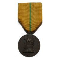 Médaille Belgique ALBERTUS REX Roi Albert 1er 1909-1934 - Professionnels / De Société