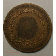 Médaille Pour La République Par L’École Bronze (79grs 57mm), Lartdesgents - Professionals / Firms