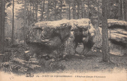 77-FONTAINEBLEAU LA FORET-N°5143-A/0219 - Fontainebleau