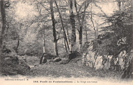 77-FONTAINEBLEAU LA FORET-N°5142-H/0289 - Fontainebleau