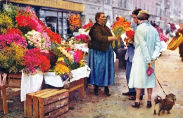 06 - Alpes Maritimes -  NICE -  Le Marché Aux Fleurs - Marchés, Fêtes