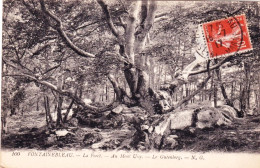 77 - Seine Et Marne -  FONTAINEBLEAU - La Foret - Au Mont Ussy - Le Gutenberg - Fontainebleau