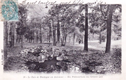 75 - PARIS 16 - Bois De Boulogne En Automne -  Du Palmarium Au Grand Lac - District 16