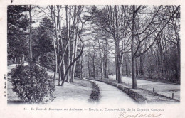 75 - PARIS 16 - Bois De Boulogne En Automne - Route Et Contre Allée De La Grande Cascade - Arrondissement: 16