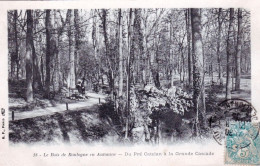 75 - PARIS 16 - Bois De Boulogne En Automne - Du Pré Catalan A La Grande Cascade - Paris (16)