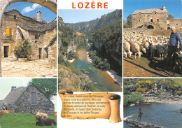 48-LOZERE-N°4195-D/0097 - Other & Unclassified