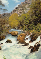 84-FONTAINE DE VAUCLUSE-N°4195-D/0061 - Altri & Non Classificati