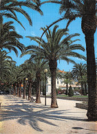 83-HYERES LES PALMIERS-N°4195-D/0047 - Hyeres