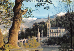 65-LOURDES-N°4195-C/0391 - Lourdes