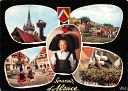 67-ALSACE-N°4195-C/0305 - Andere & Zonder Classificatie