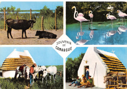 13-CAMARGUE-N°4195-C/0137 - Andere & Zonder Classificatie