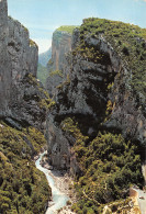 04-GORGES DU VERDON LE POINT SUBLIME-N°4195-B/0249 - Autres & Non Classés