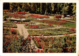 H2314 - TOP Sangerhausen - Rosarium - Dresdner Foto Werkstätte Walter DFW Naturfabenfotografie - Sangerhausen