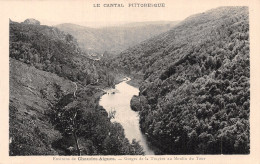 15-GORGES DE LA TUYERE-N°5143-C/0391 - Autres & Non Classés