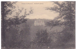 10 - BLIGNY - AUBE - CHATEAU DE BOSSICAN - Autres & Non Classés