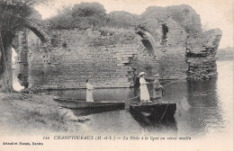 49-CHAMPTOCEAUX-N°5143-C/0065 - Champtoceaux