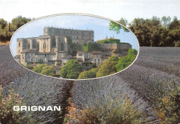 26-GRIGNAN-N°4196-B/0013 - Grignan