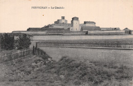 66-PERPIGNAN-N°5143-F/0155 - Perpignan