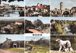 64-BEARN-N°4196-C/0347 - Bearn