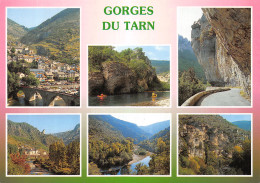 48-GORGES DU TARN VUES-N°4196-C/0265 - Gorges Du Tarn