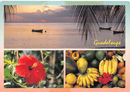 971-GUADELOUPE TROPIQUES-N°4196-C/0001 - Sonstige & Ohne Zuordnung
