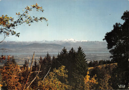 01-COL DE LA FAUCILLE-N°4196-B/0345 - Ohne Zuordnung