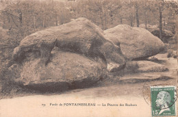 77-FONTAINEBLEAU LA FORET LA PIEUVRE DES ROCHERS-N°5144-A/0341 - Fontainebleau