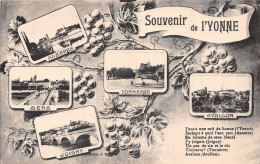 89-SOUVENIR DE L YONNE-N°5144-A/0311 - Andere & Zonder Classificatie