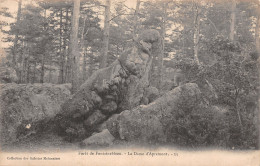 77-FONTAINEBLEAU LA FORET-N°5143-H/0109 - Fontainebleau