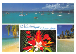 972-MARTINIQUE SAINT ANNE-N°4197-B/0077 - Other & Unclassified