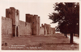 30-AIGUES MORTES-N°4197-E/0007 - Aigues-Mortes