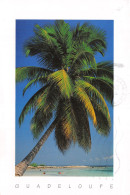 971-GUADELOUPE SAINTE ANNE PLAGE DE CARAVELLE-N°4197-D/0041 - Other & Unclassified