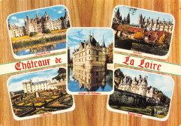 41-CHATEAUX DE LA LOIRE-N°4197-D/0025 - Andere & Zonder Classificatie