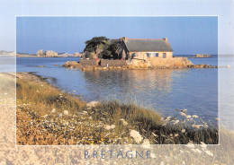 35-BRETAGNE-N°4197-C/0003 - Sonstige & Ohne Zuordnung