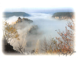 25-LA CLUSE ET MIJOUX LE CHATEAU DE JOUX-N°4197-B/0379 - Sonstige & Ohne Zuordnung