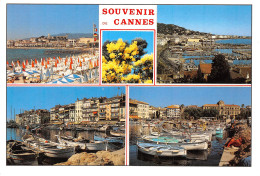 06-CANNES-N°4198-B/0193 - Cannes